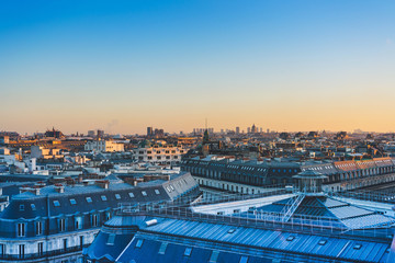 目前栽培的景天类花卉种类都有什么？