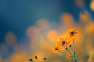 医疗器械龙头股排名