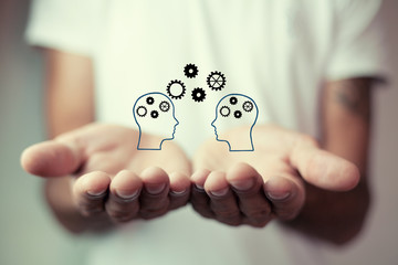 目前栽培的景天类花卉种类都有什么？