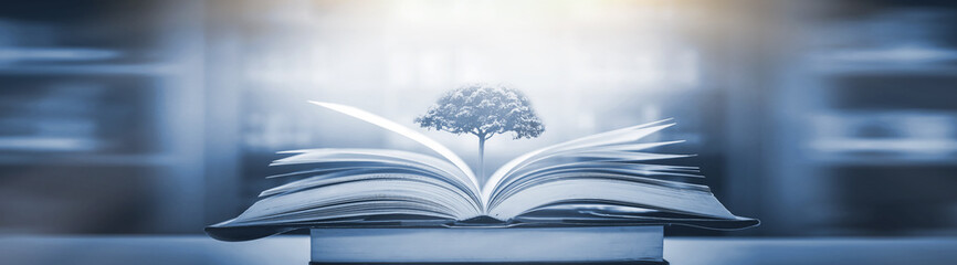 影视考研学校排名