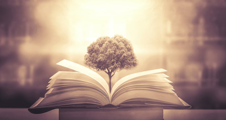 电脑怎么接收传真-