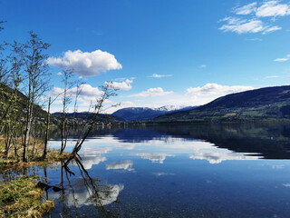 天津盛世华森艺人影视文化传媒有限公司怎么样？