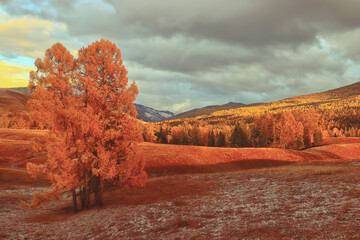 天津盛世华森艺人影视文化传媒有限公司怎么样？