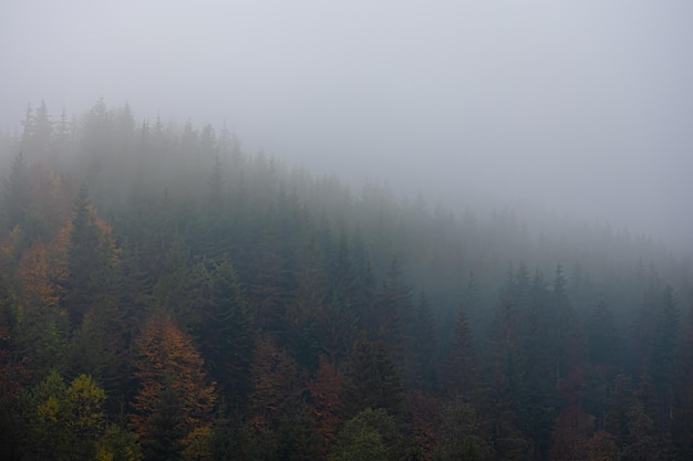 电脑无法进入桌面