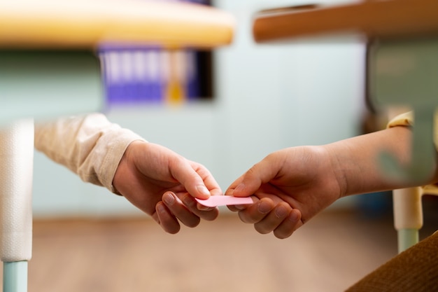 目前栽培的景天类花卉种类都有什么？