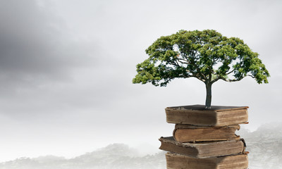 甘肃省专科院校有哪些？