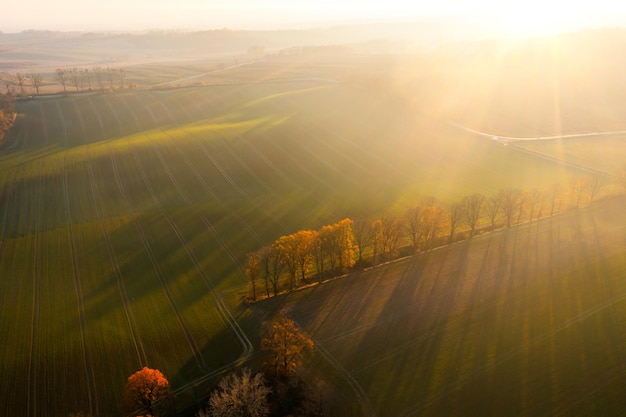 手机反应太慢了怎么解决