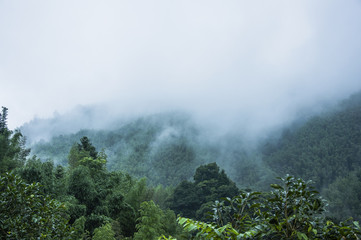 医疗器械龙头股排名
